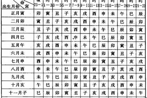 貴婦命格|【貴婦命格】識破貴婦命格：頂級貴婦八字秘訣全公開！